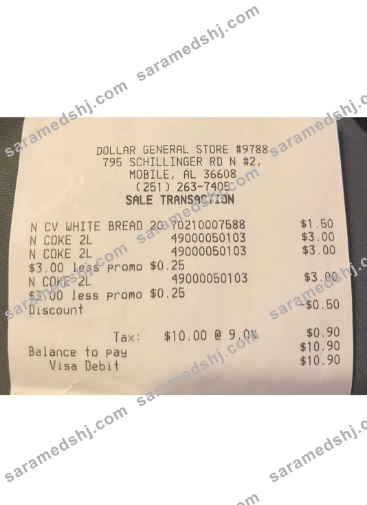 Dollar general store paymet check